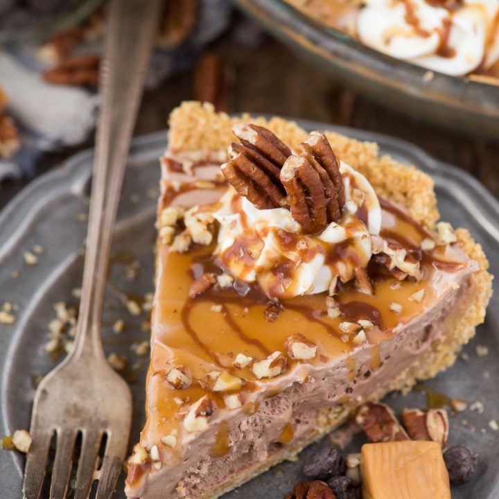 Turtle Pie