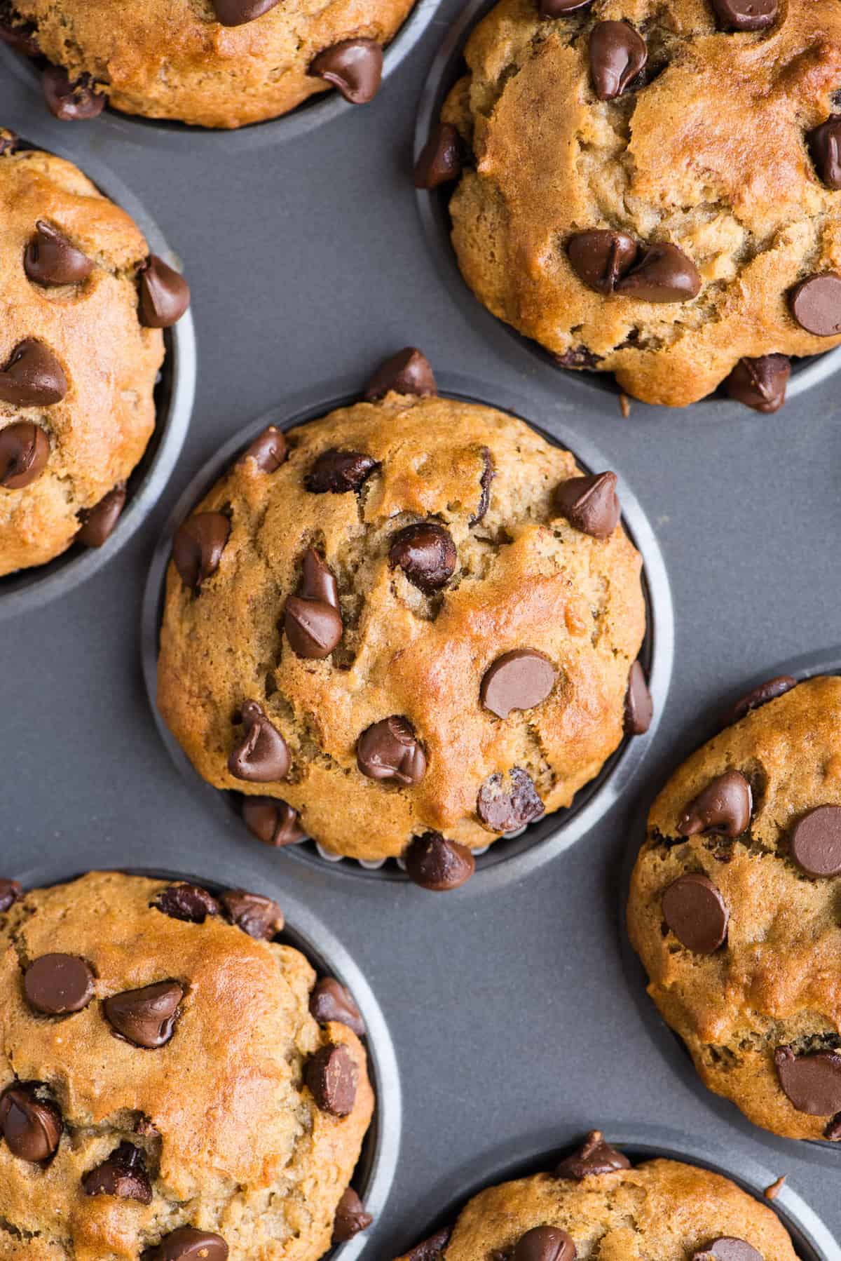 muffins with chocolate chips in metal muffin pan