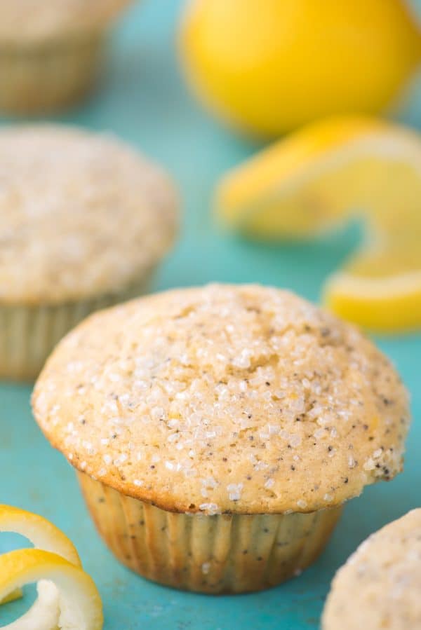 This is my favorite recipe for making bakery style lemon poppy seed muffins! Add course sugar to the tops or drizzle them with lemon glaze. These lemon muffins turn out so moist and flavorful with buttermilk and fresh lemons! Plus good tips on how to bake bakery style muffins! #lemonpoppyseedmuffins #muffins #lemonmuffins lemon poppy seed muffin on teal background with lemon slices