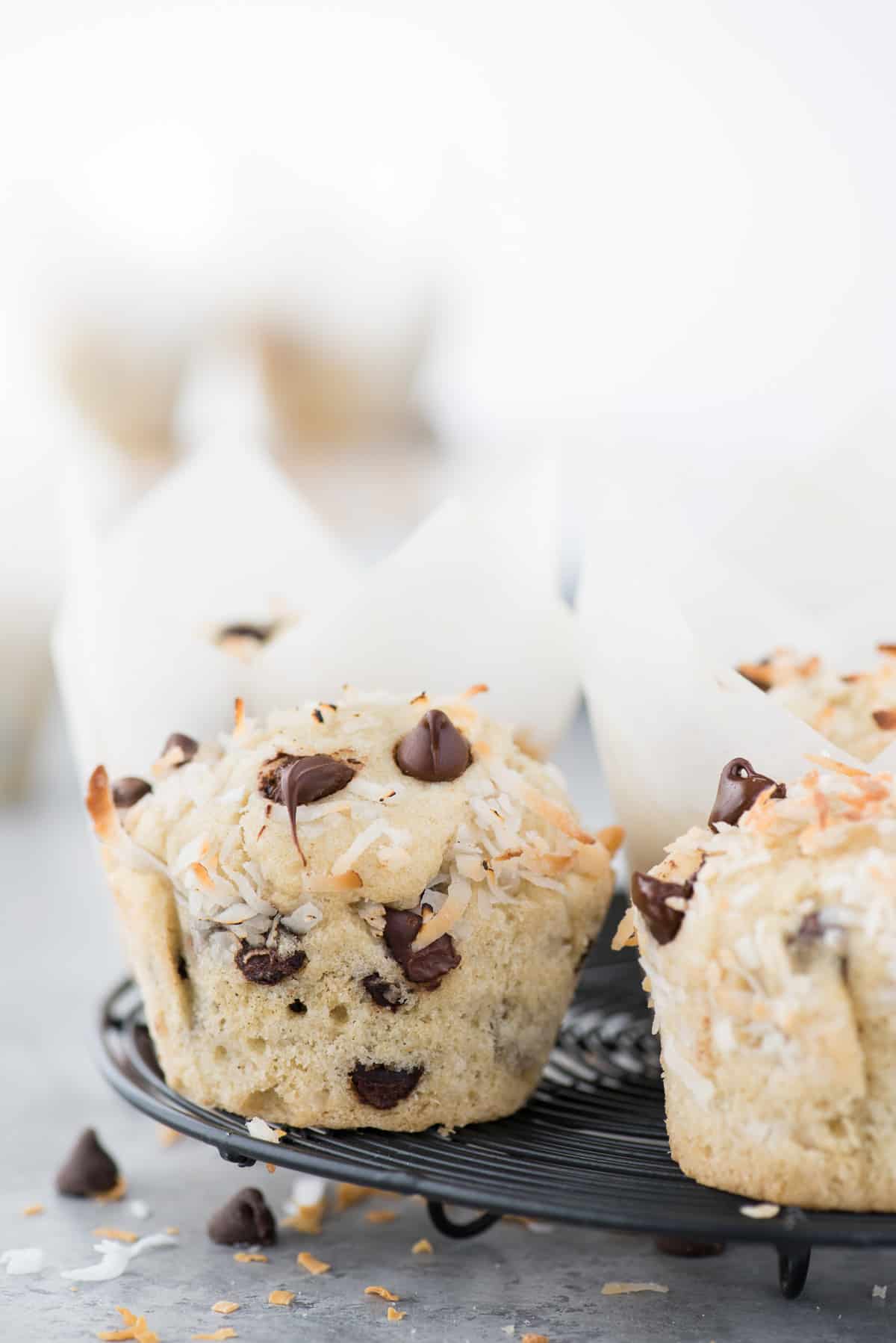Coconut chocolate chip muffins on black wire cooling rack