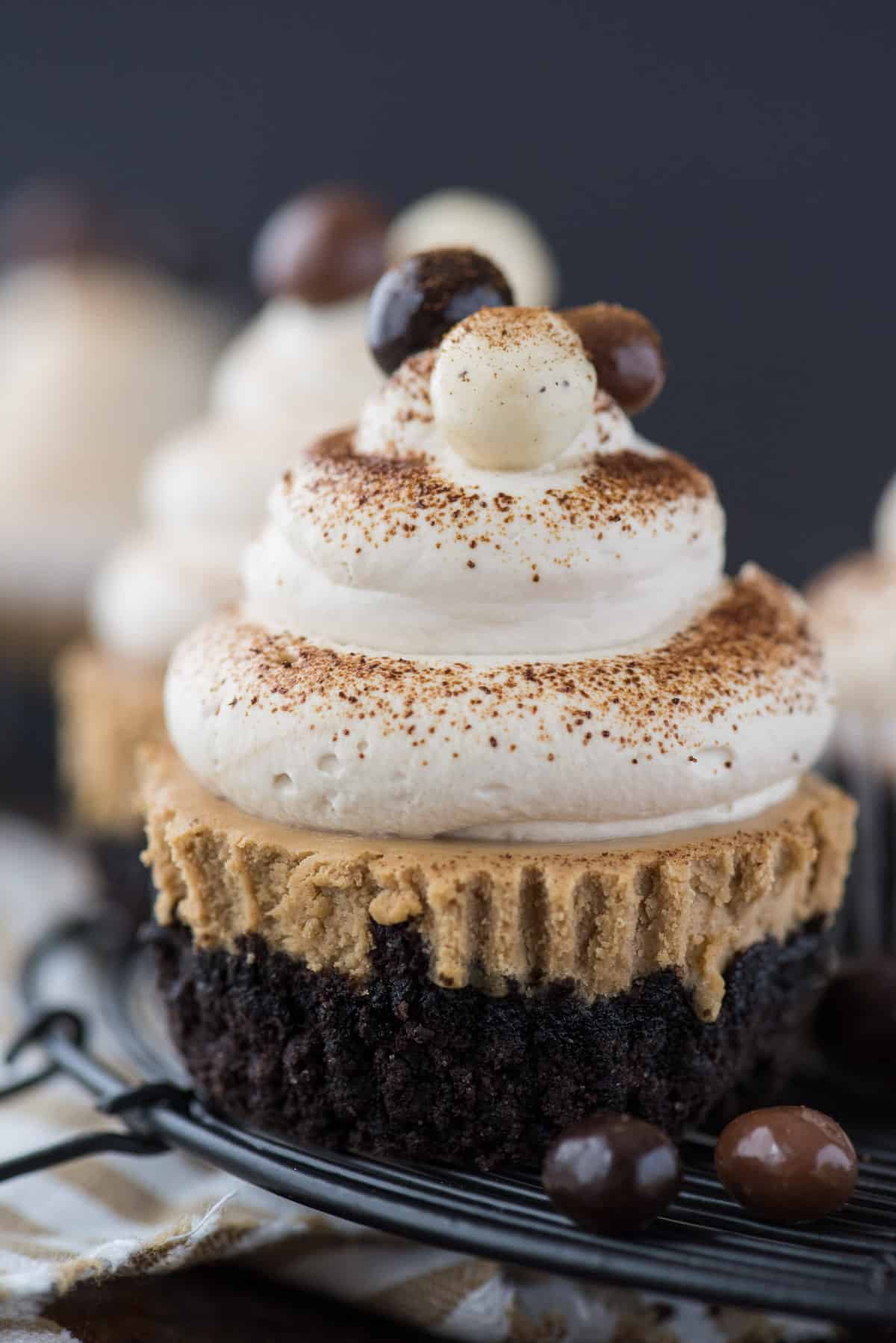 mini coffee cheesecake with coffee whipped cream and espresso beans on wire rack