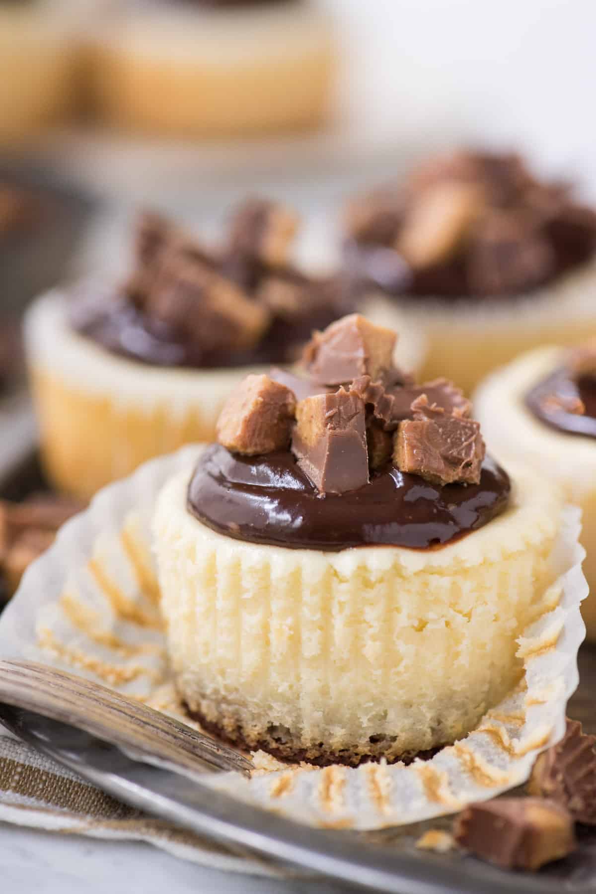 mini cheesecake topped with chocolate ganache and reese’s peanut butter cup pieces