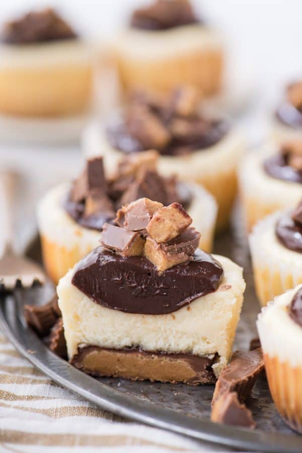 Mini Cheesecakes with Reese's Peanut Butter Cup Bottom