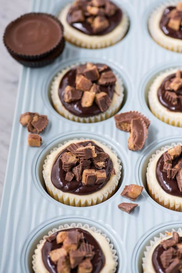 mini reese’s cheesecakes in blue muffin pan