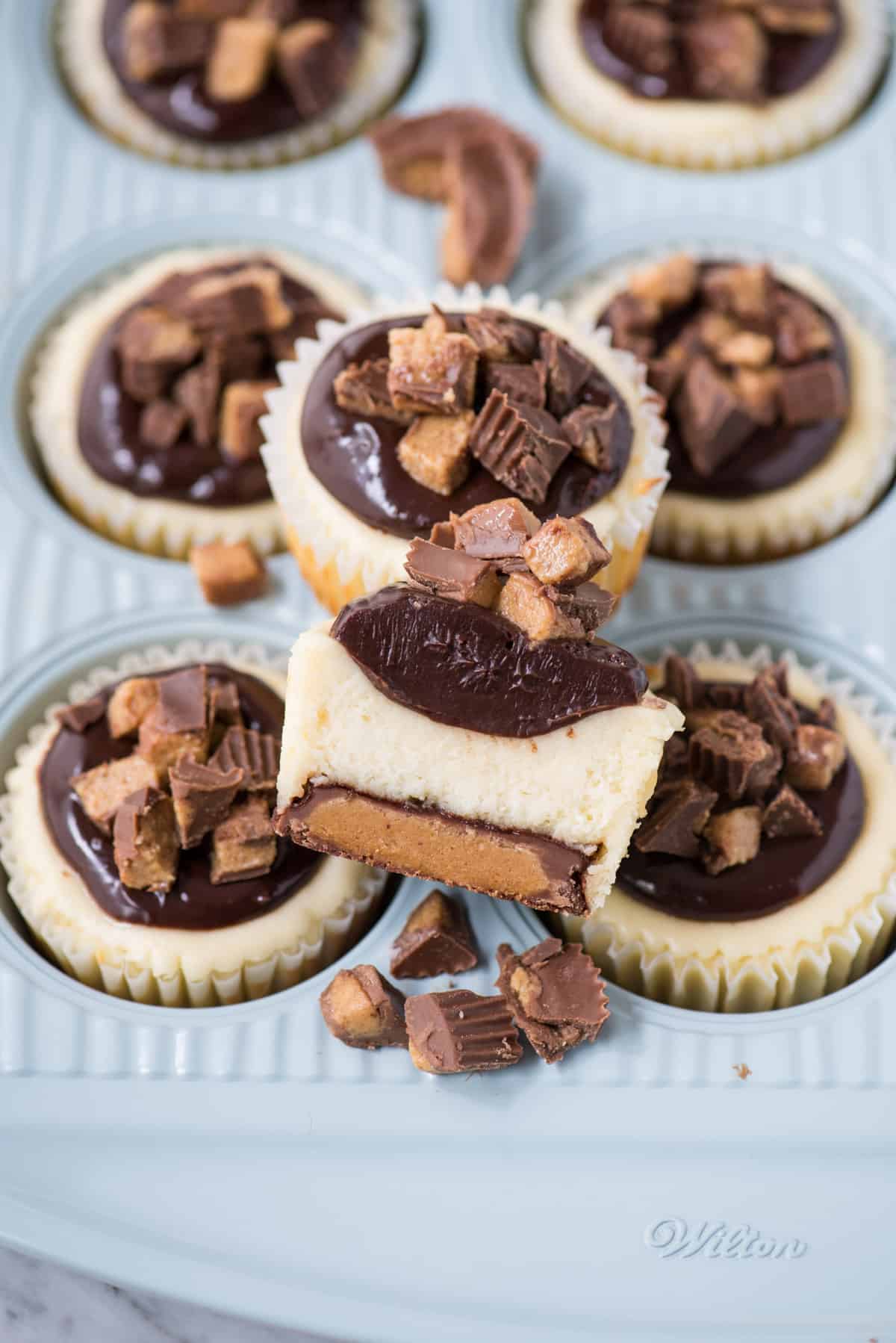 mini cheesecake sliced in half with reese’s peanut butter cup bottom as the crust on blue muffin pan