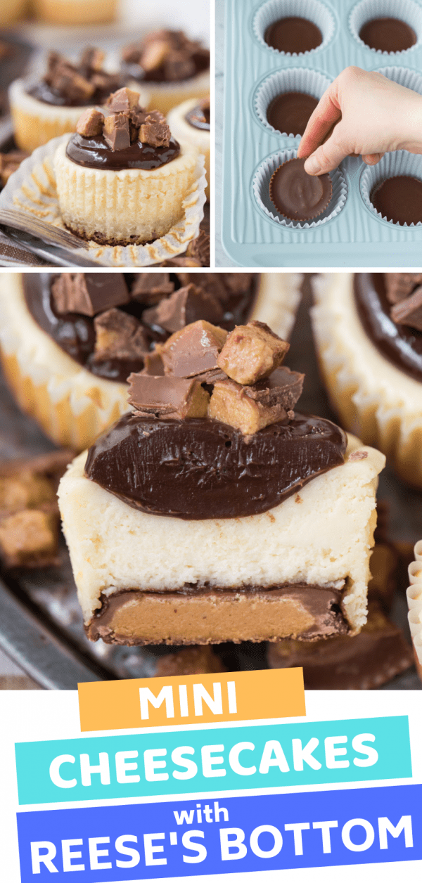 collage image of mini cheesecakes with reese's peanut butter cup bottom