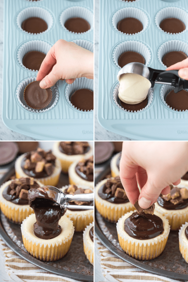 collage image of how to make mini cheesecakes in muffin pan