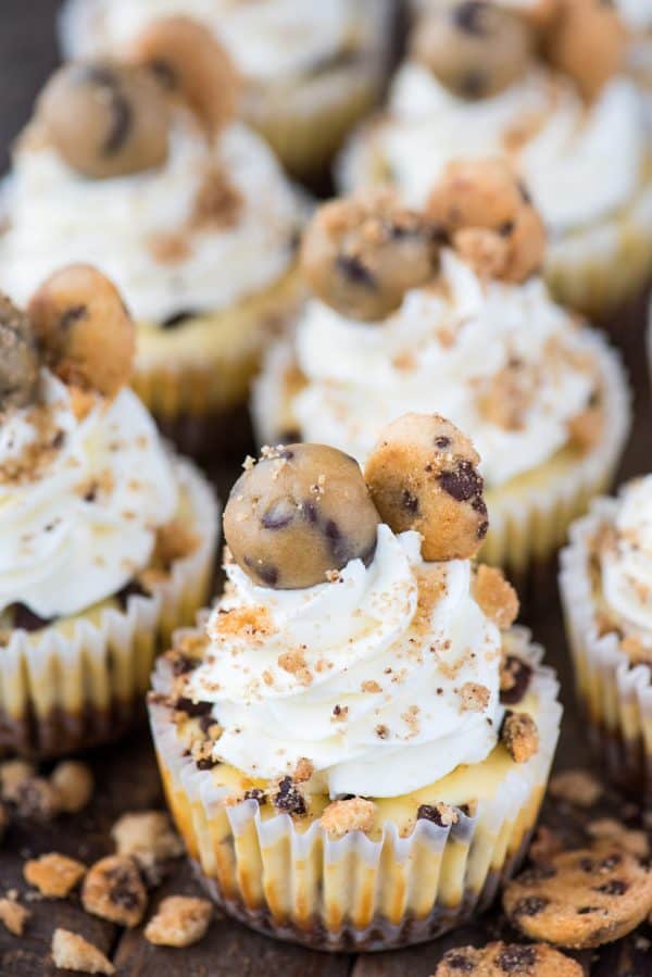 mini chocolate chip cookie dough cheesecakes on dark background