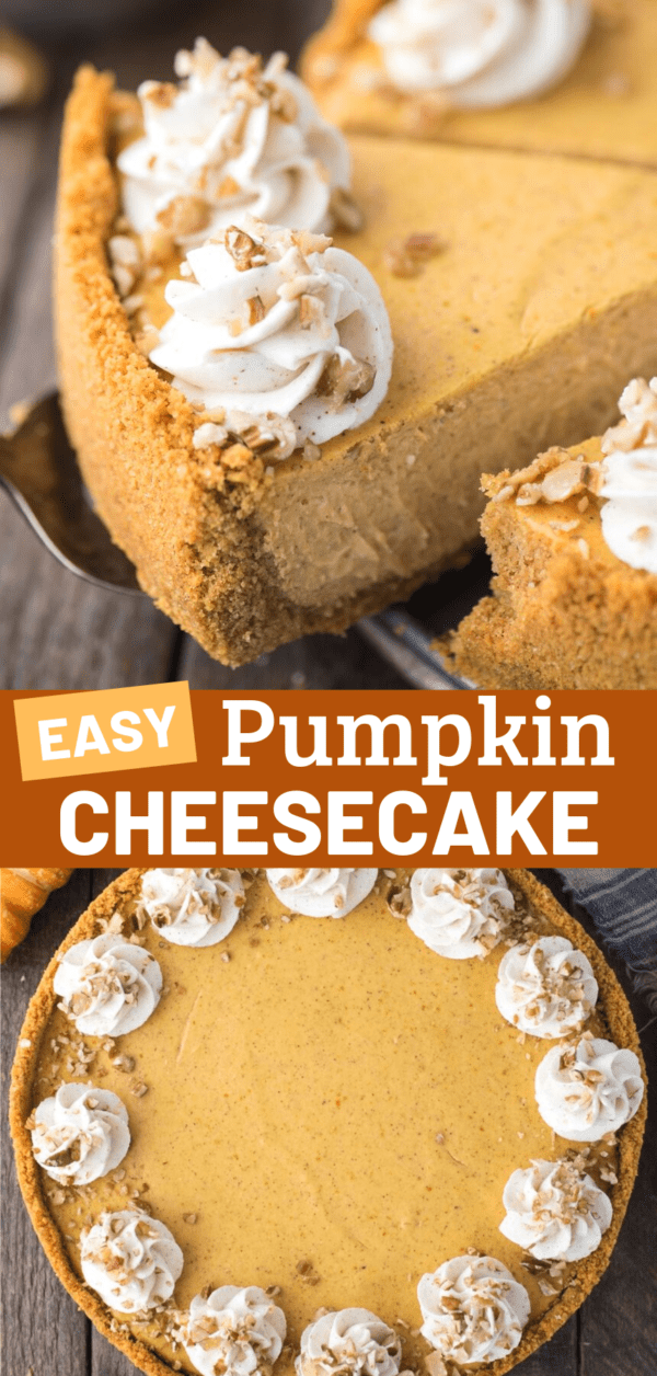 slice of pumpkin cheesecake with whipped cream swirls and chopped nuts being removed from cheesecake pan