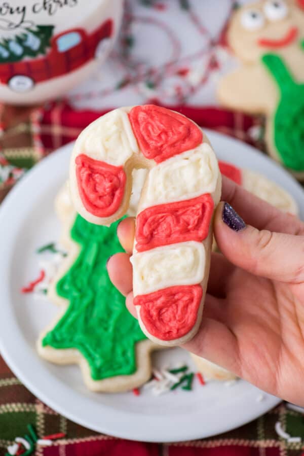 Cut Out Sugar Cookies The First Year