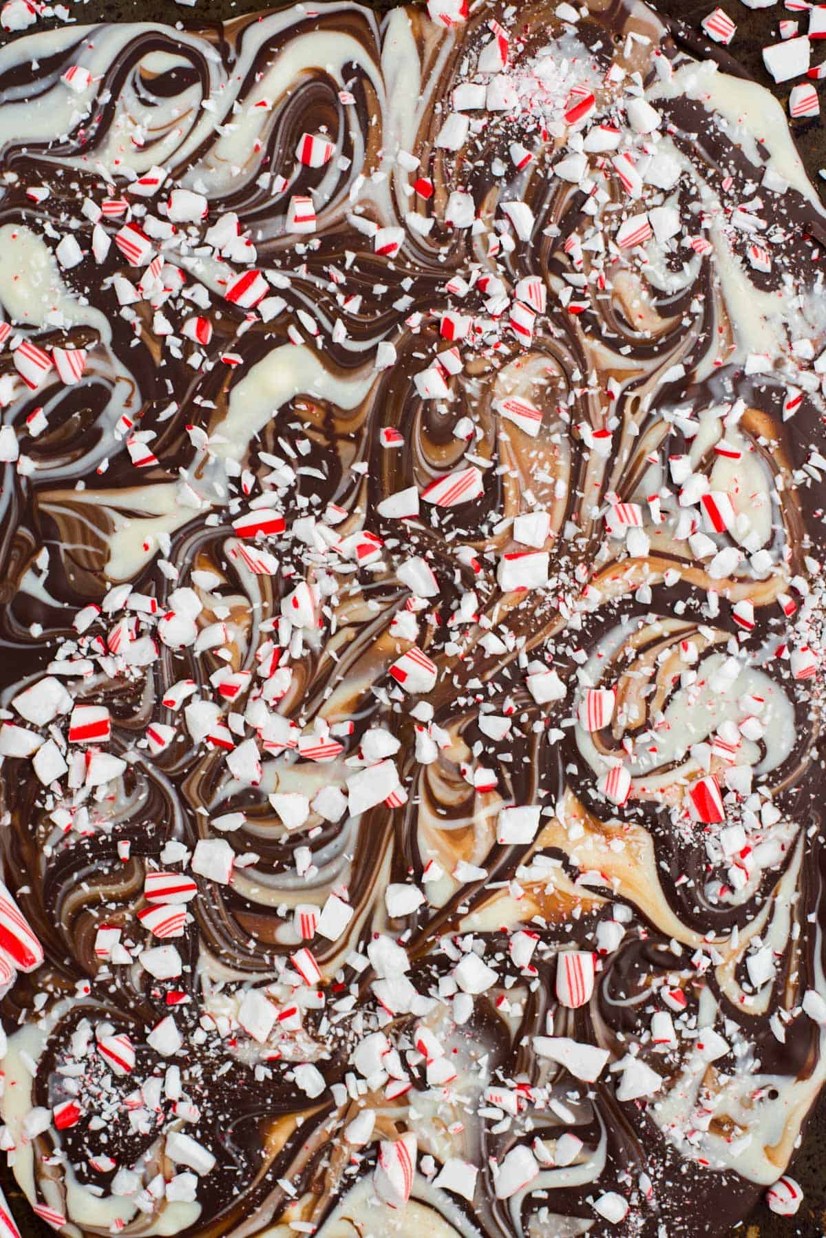 close up of swirled white chocolate and chocolate peppermint bark with crushed candy canes