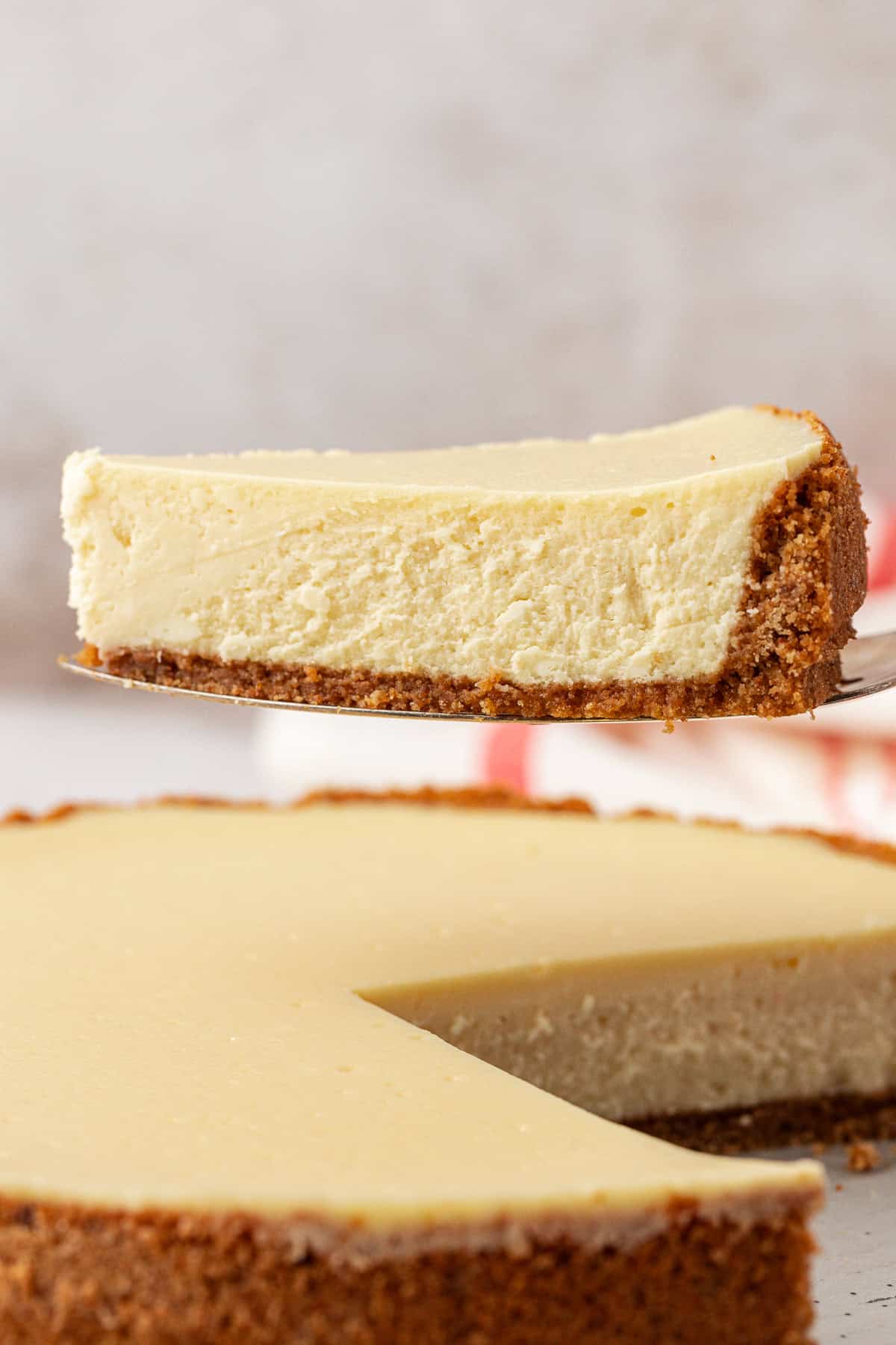 single slice of plain cheesecake on pie server