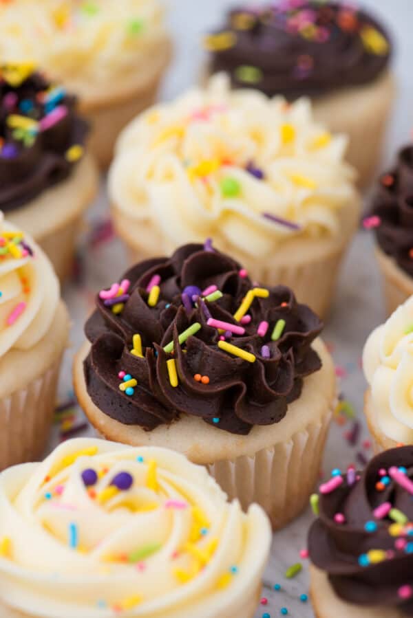 easy white cupcakes in a row with chocolate or vanilla frosting with colorful sprinkles