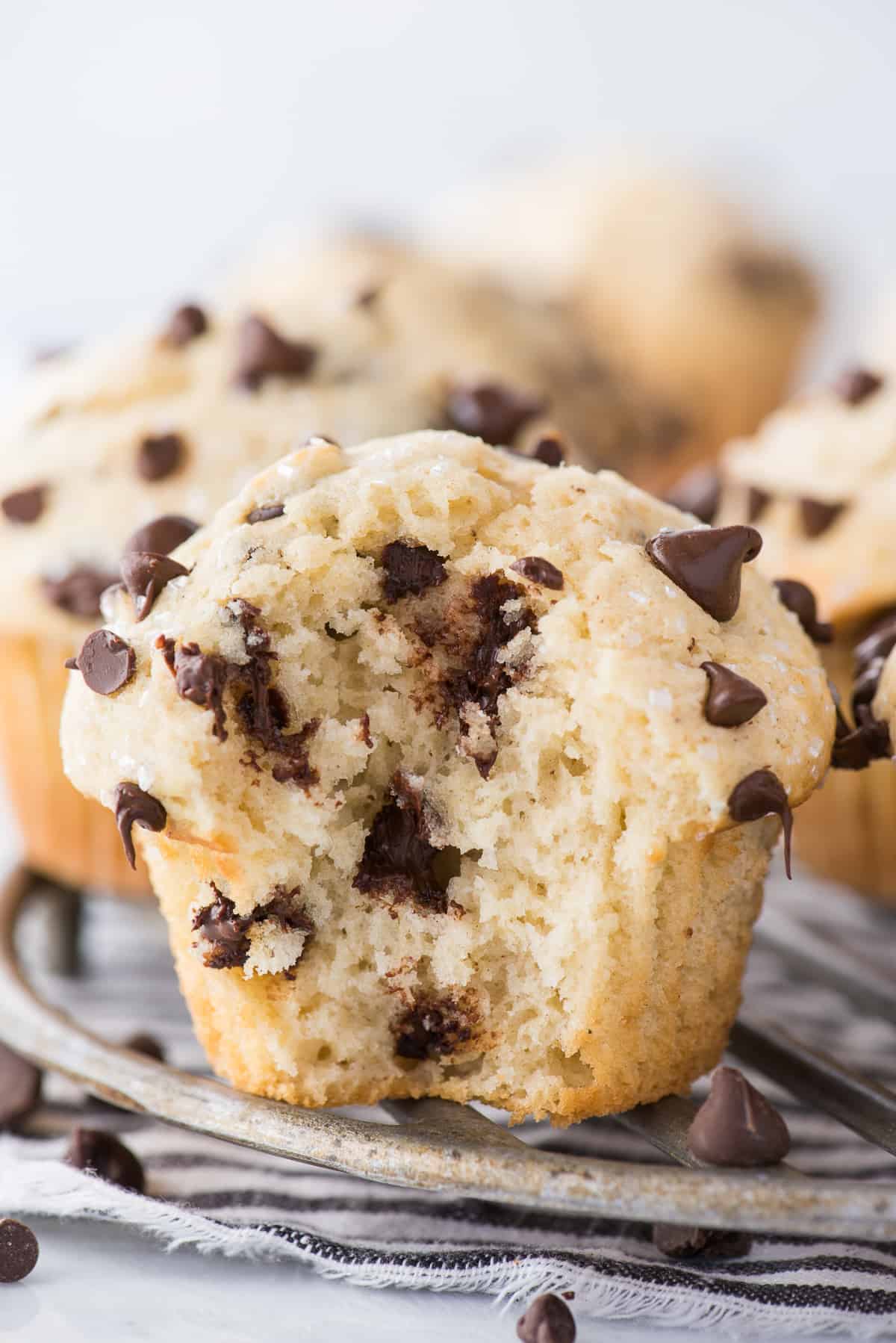 chocolate chip muffin with bite removed on round metal cooling rack