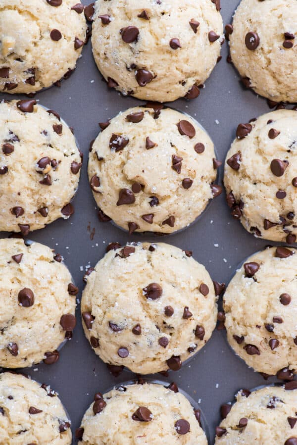 aerial shot of chocolate chip muffins in metal muffin pan