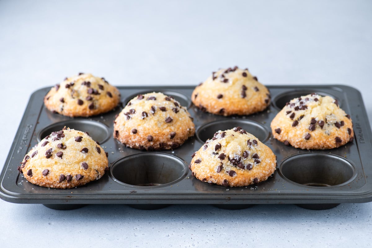 6 chocolate chip muffins in muffin pan