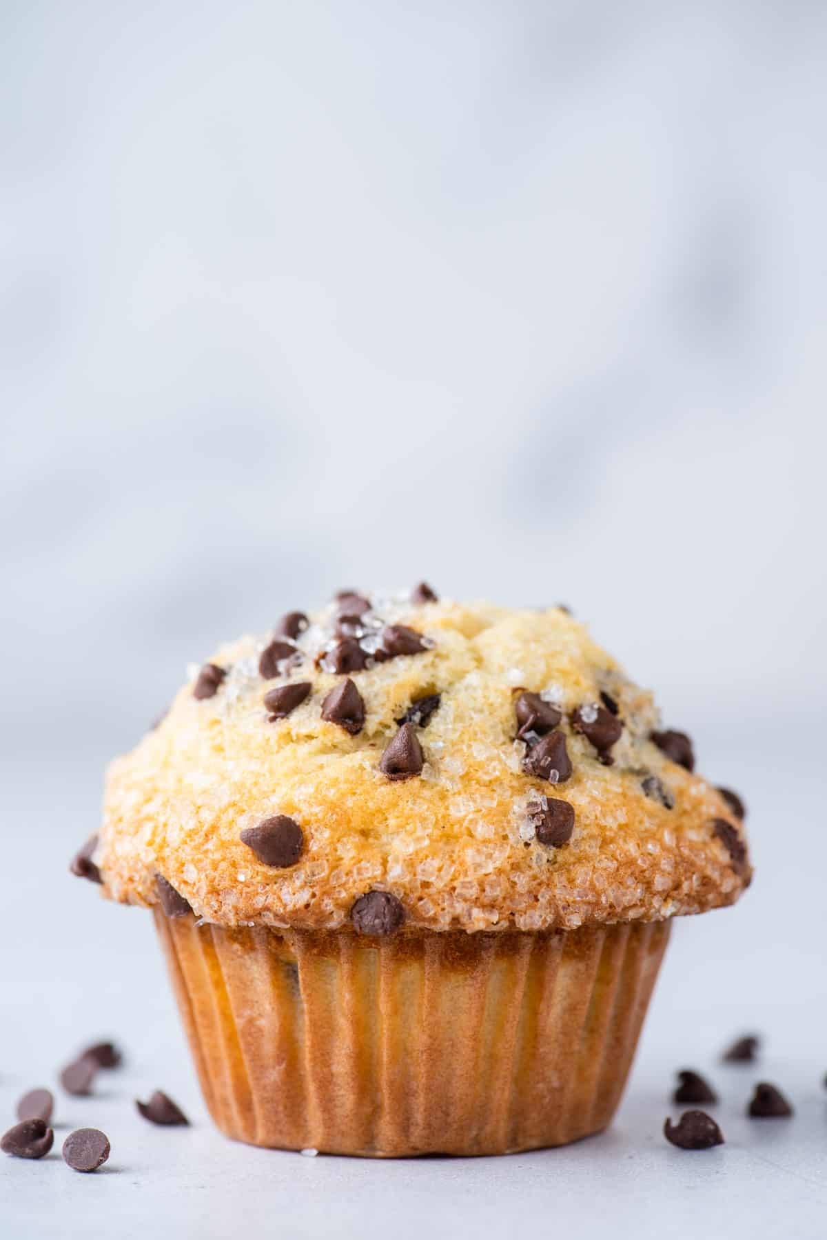 single chocolate chip muffin on white background