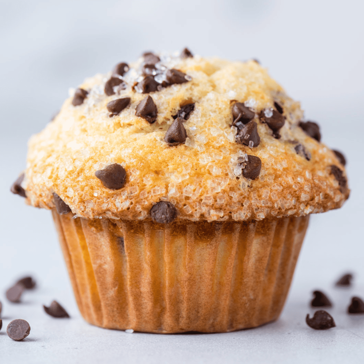 Big Bakery Style Chocolate Chip Muffins - The First Year