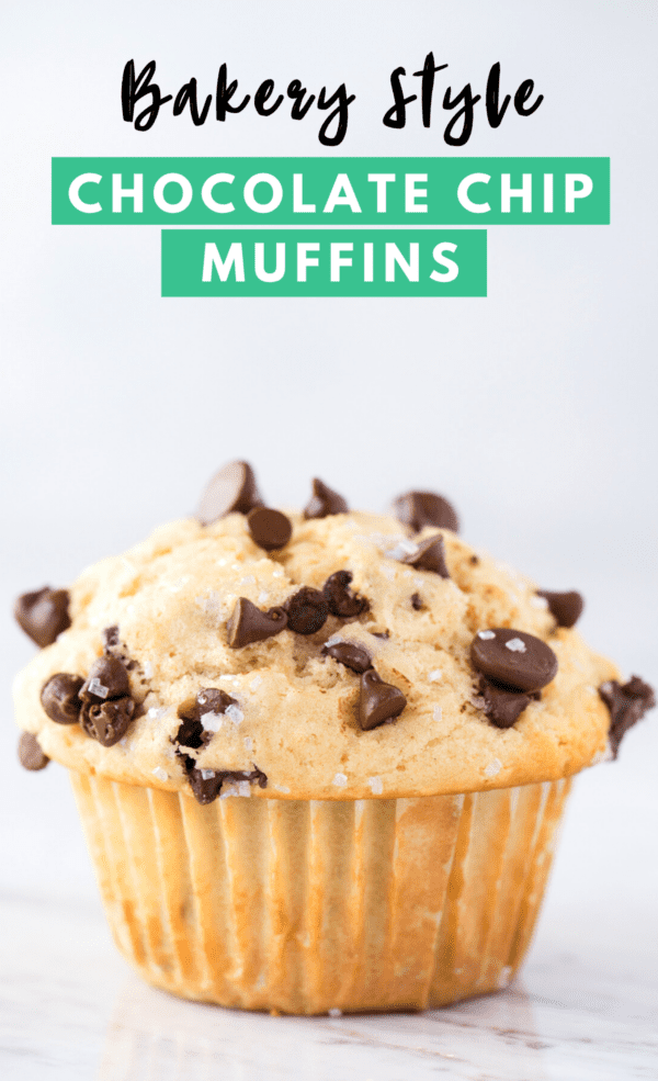 chocolate chip muffin on white background with text overlay