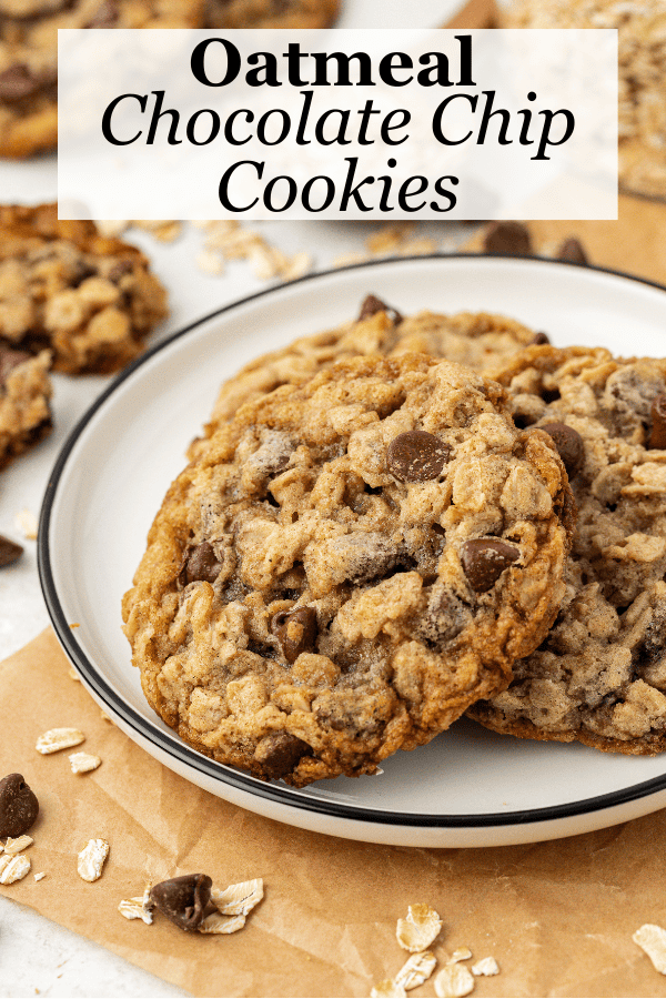 Chewy Oatmeal Chocolate Chip Cookies - The First Year