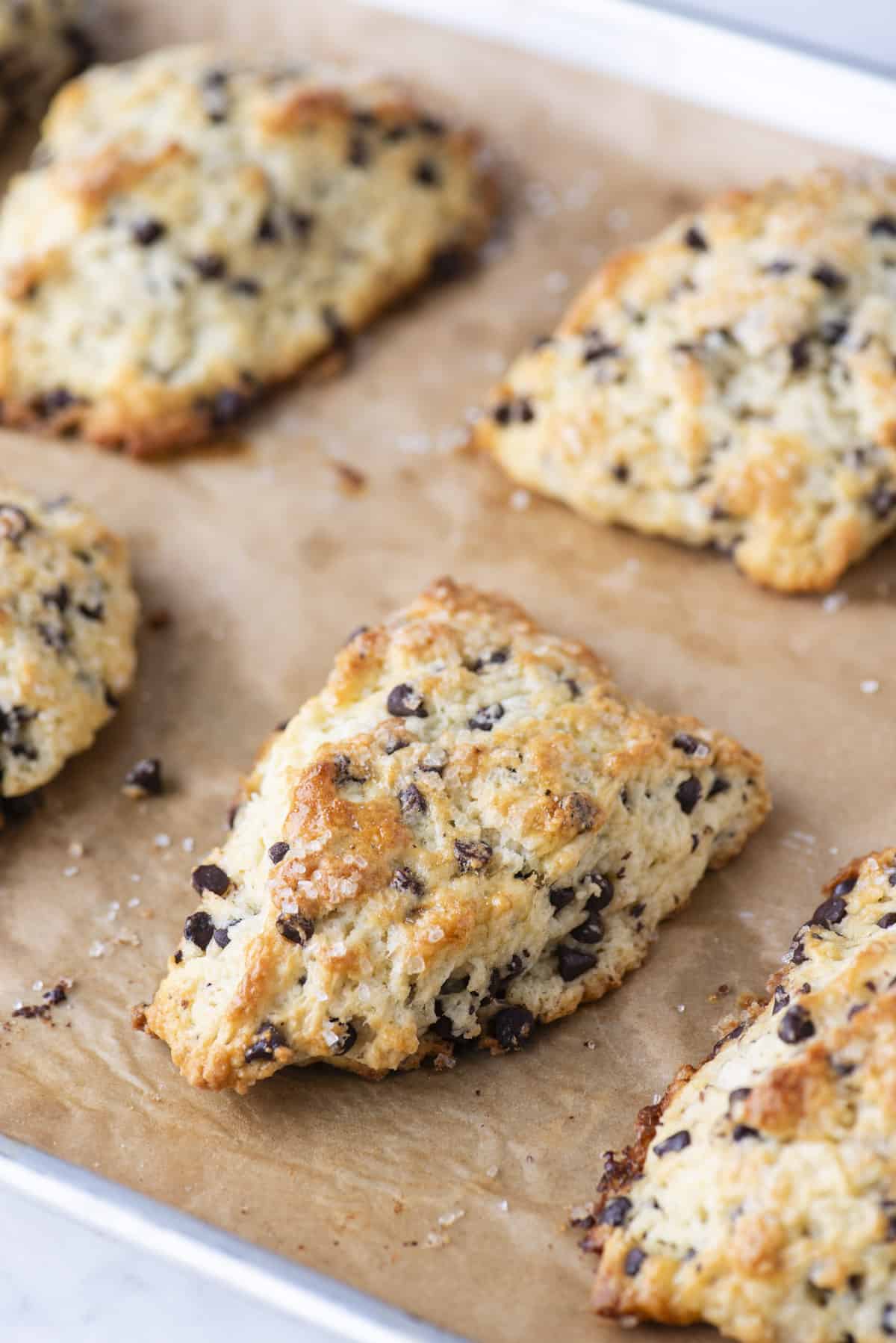 chocolate chip scones arranged on brown parchment paper 