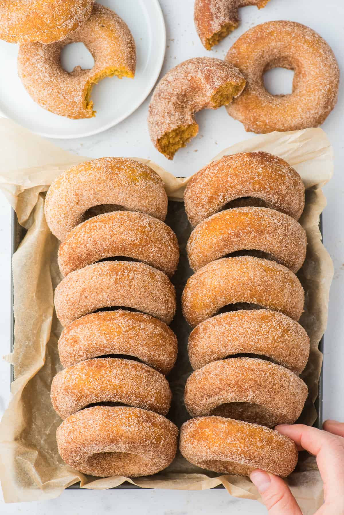 pumpkin donuts lined up in metal pan with brown parchment paper on white background
