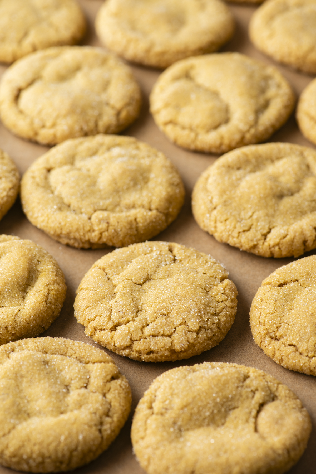 Rows of golden brown, pumpkin sugar cookies arranged on parchment paper, viewed from above. The cookies have a slightly cracked surface and a soft texture.