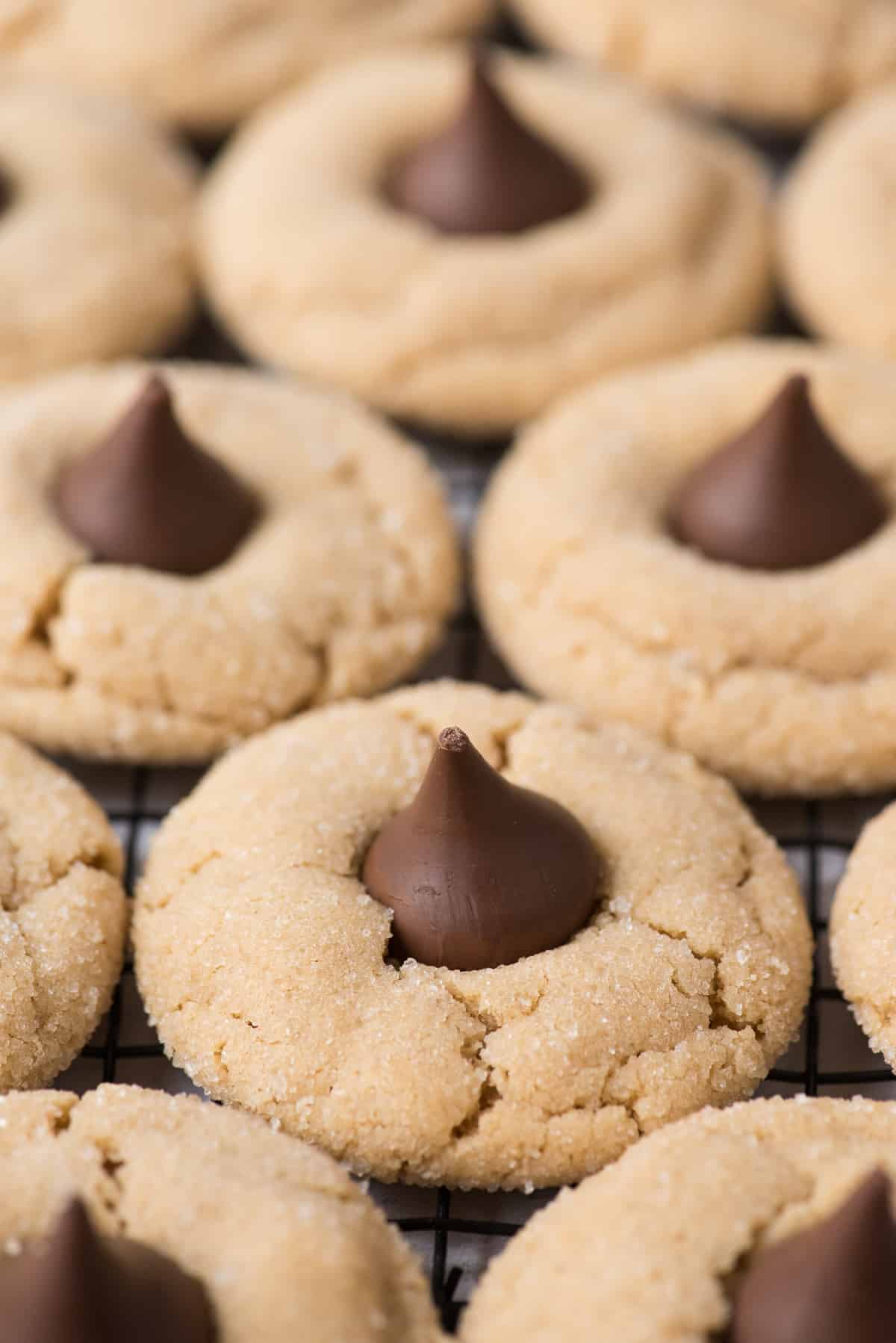 peanut butter blossom cookies lined up close together