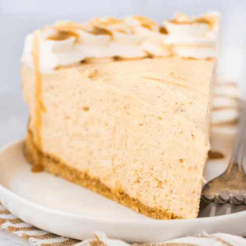 No Bake Pumpkin Cheesecake Recipe - The First Year