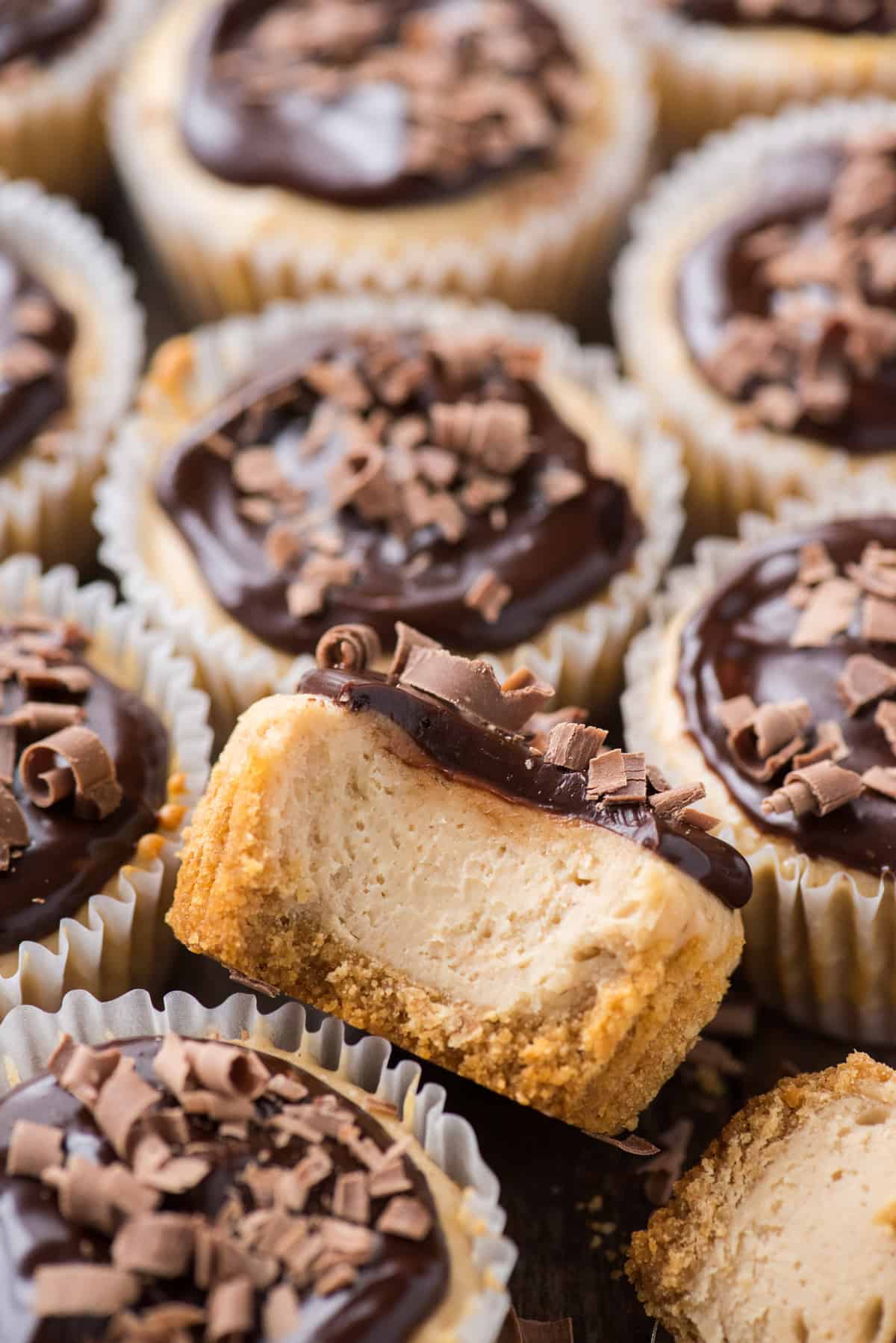 mini peanut butter cheesecakes with chocolate ganache topping arranged closely together with one cheesecake with bite removed