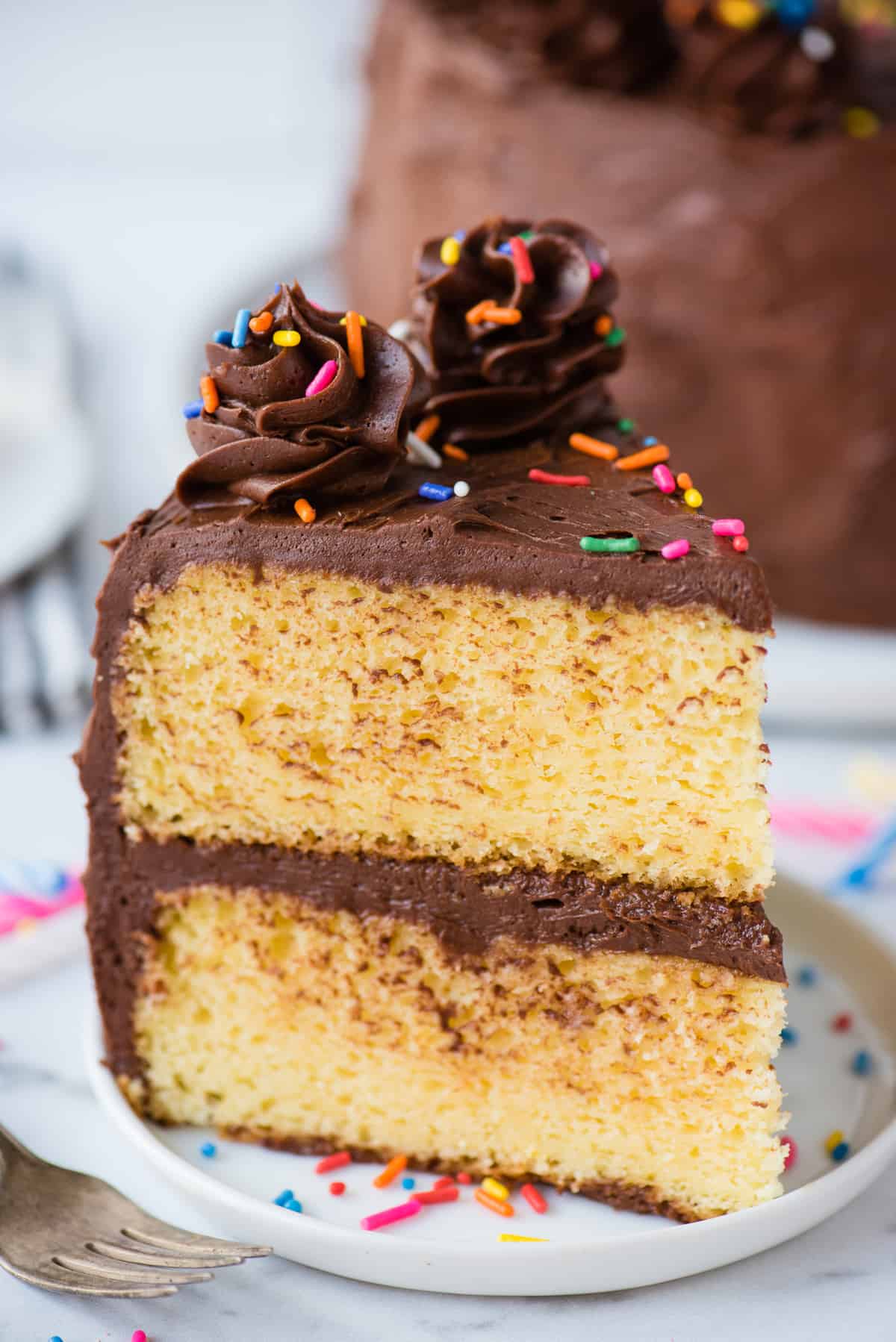a single slice of yellow cake with chocolate on white plate