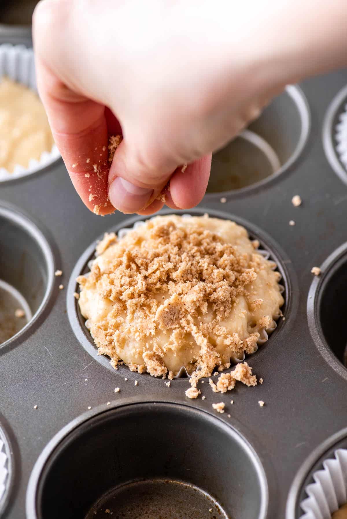 Cinnamon Coffee Cake Muffins with Crumble Topping - The First Year