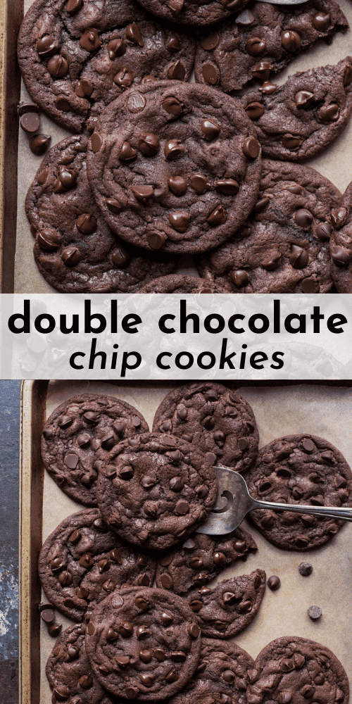 The Best Double Chocolate Chip Cookies - The First Year