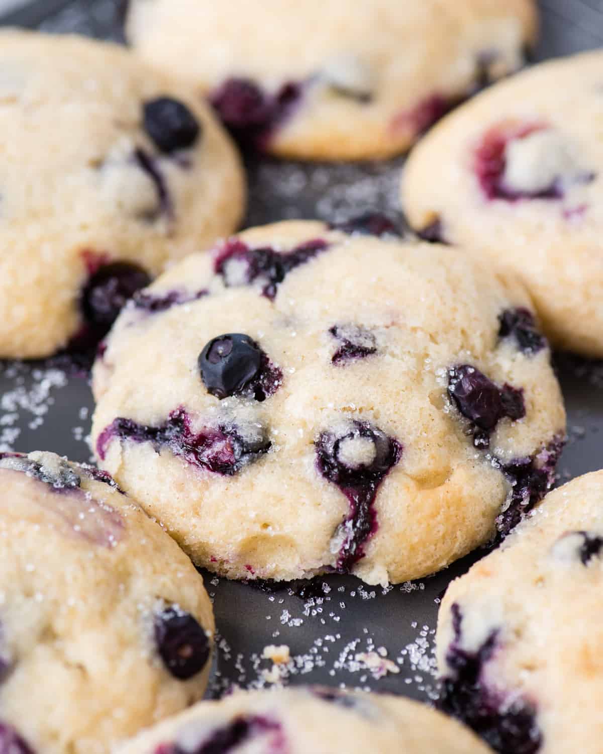 close up of blueberry muffin top in metal muffin pan