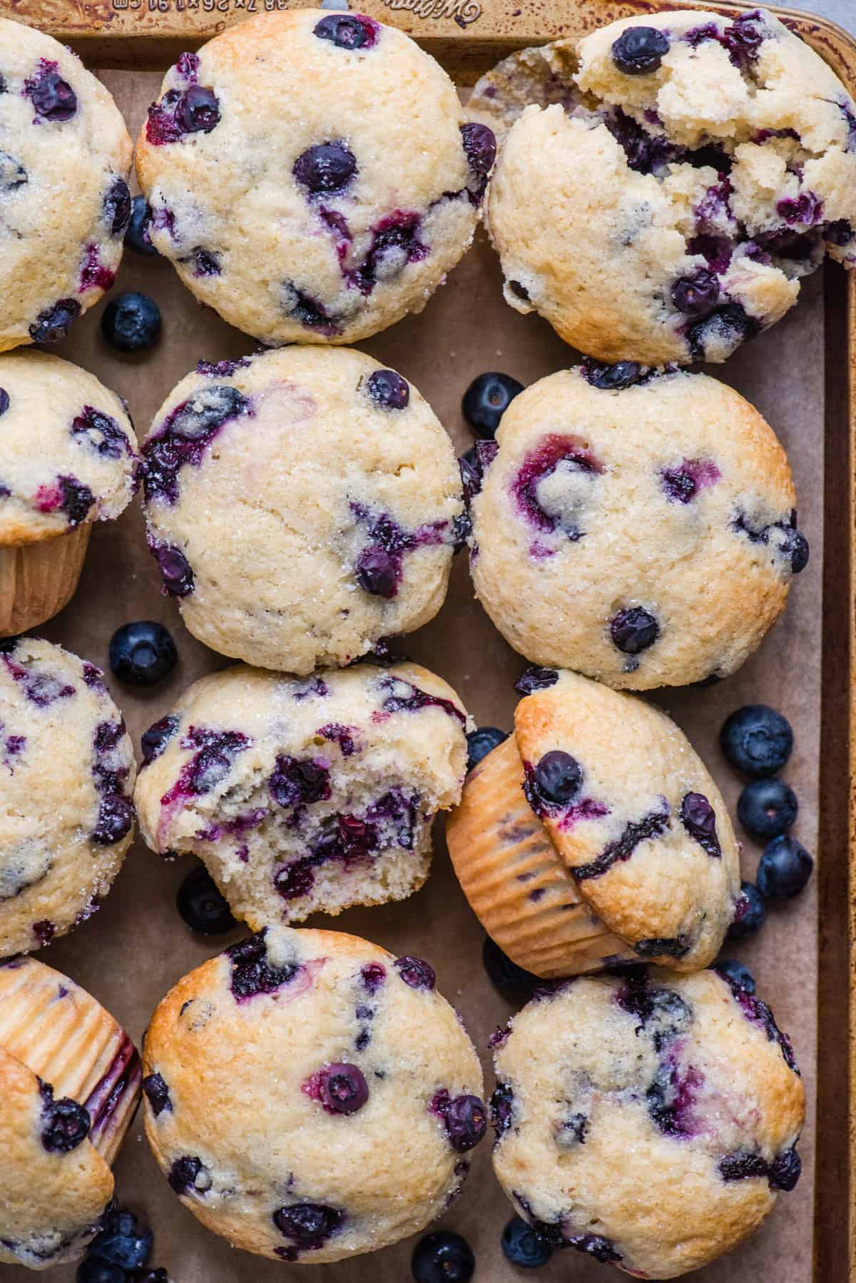 12 blueberry muffins arranged in a grid pattern on metal baking sheet