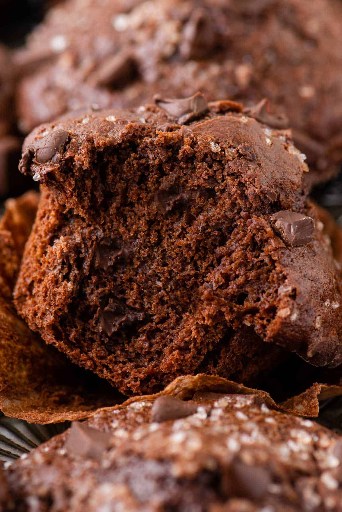 chocolate muffins with bite removed