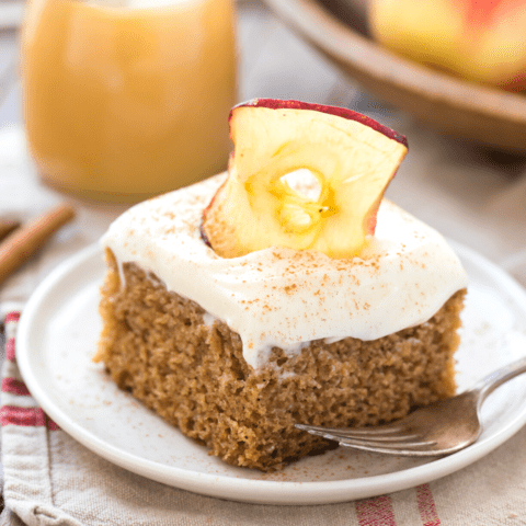 The Best Applesauce Cake Recipe The First Year Applesauce Cake Square 480x480