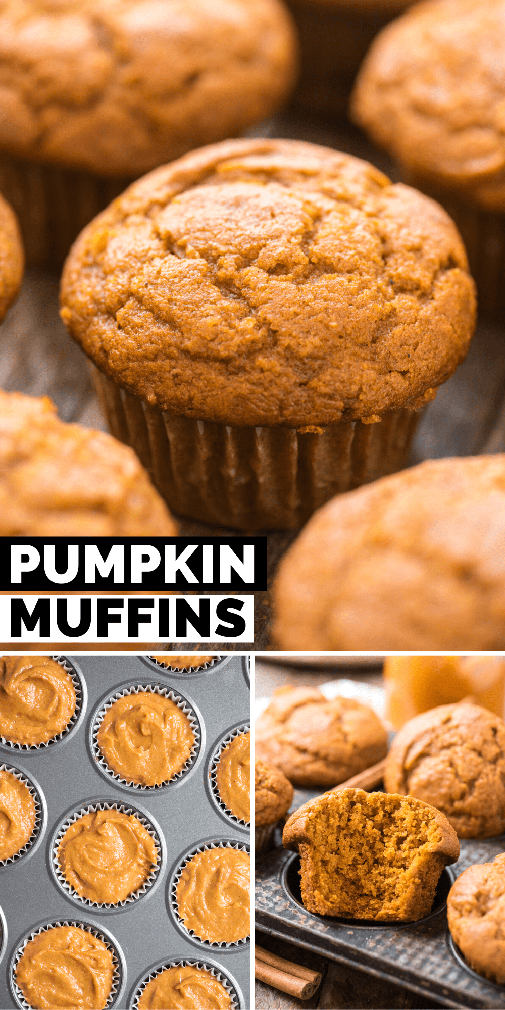 Pumpkin Muffins - easy pumpkin muffin recipe!