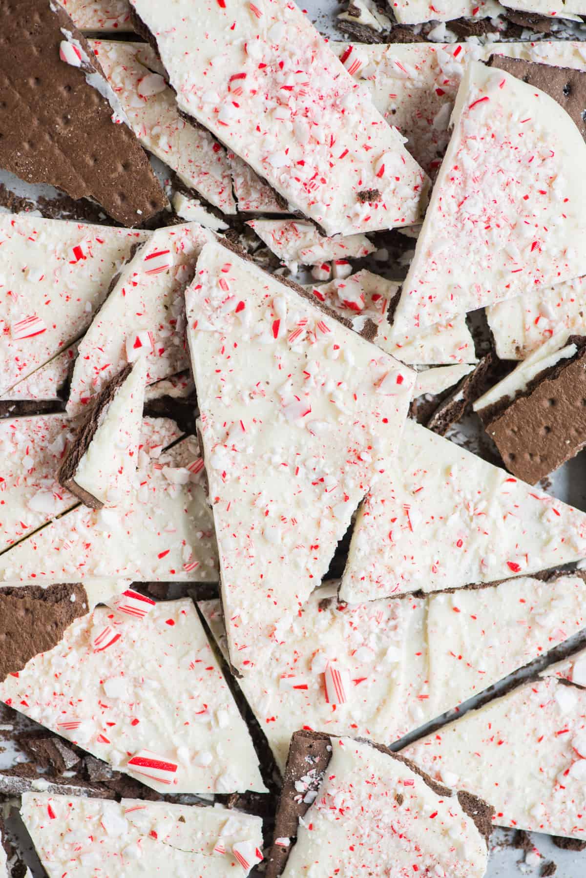 pieces of chocolate peppermint bark on a white plate