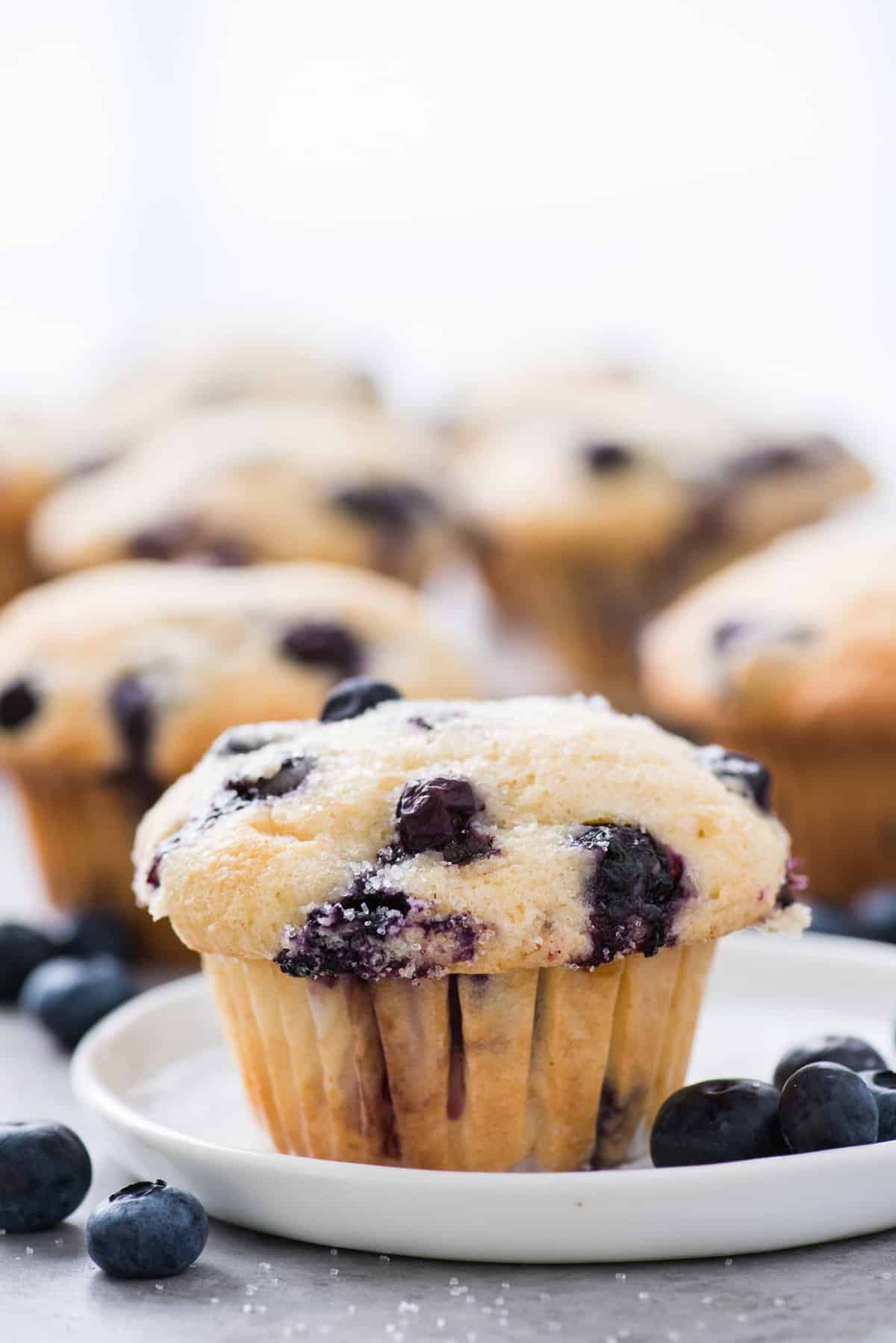 gluten free blueberry muffin on white plate with blueberries