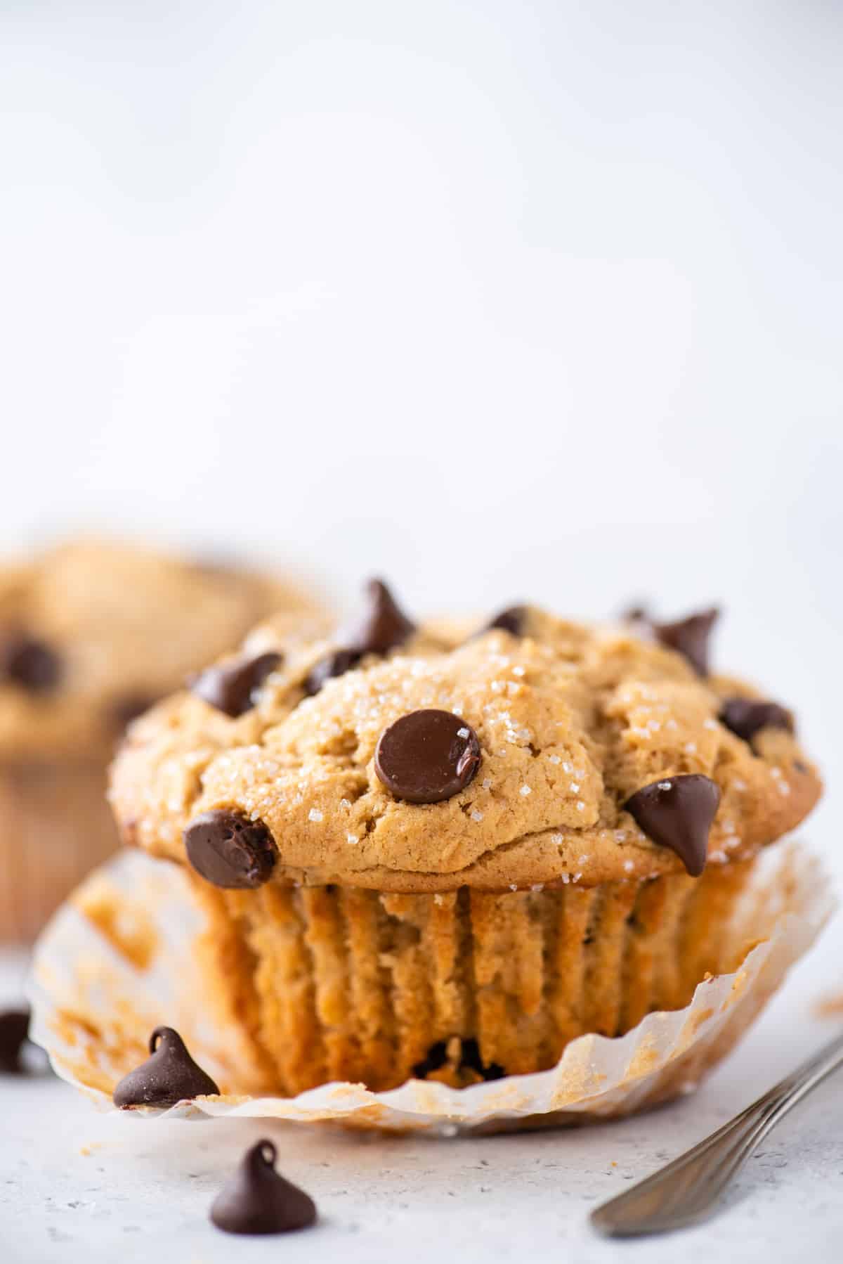 single peanut butter muffin on white background