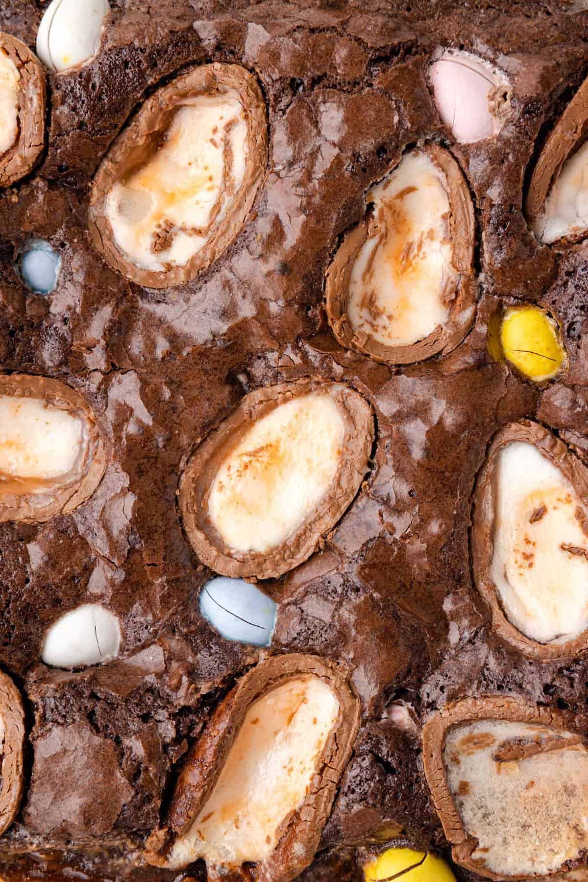 brownies with cadbury creme eggs baked on top