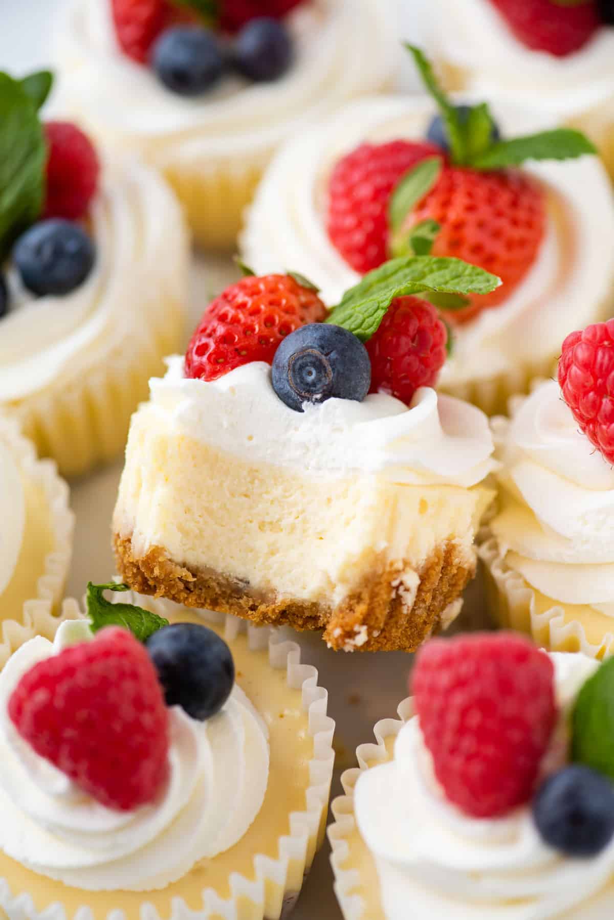 Mini cheesecakes garnished with whipped cream, fresh berries, and mint leaves