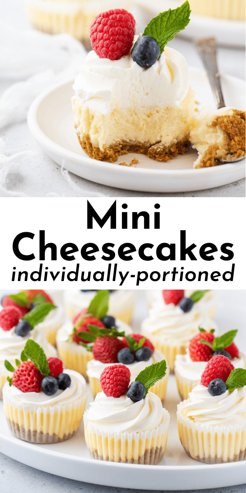 The Best Mini Cheesecake Recipe - The First Year