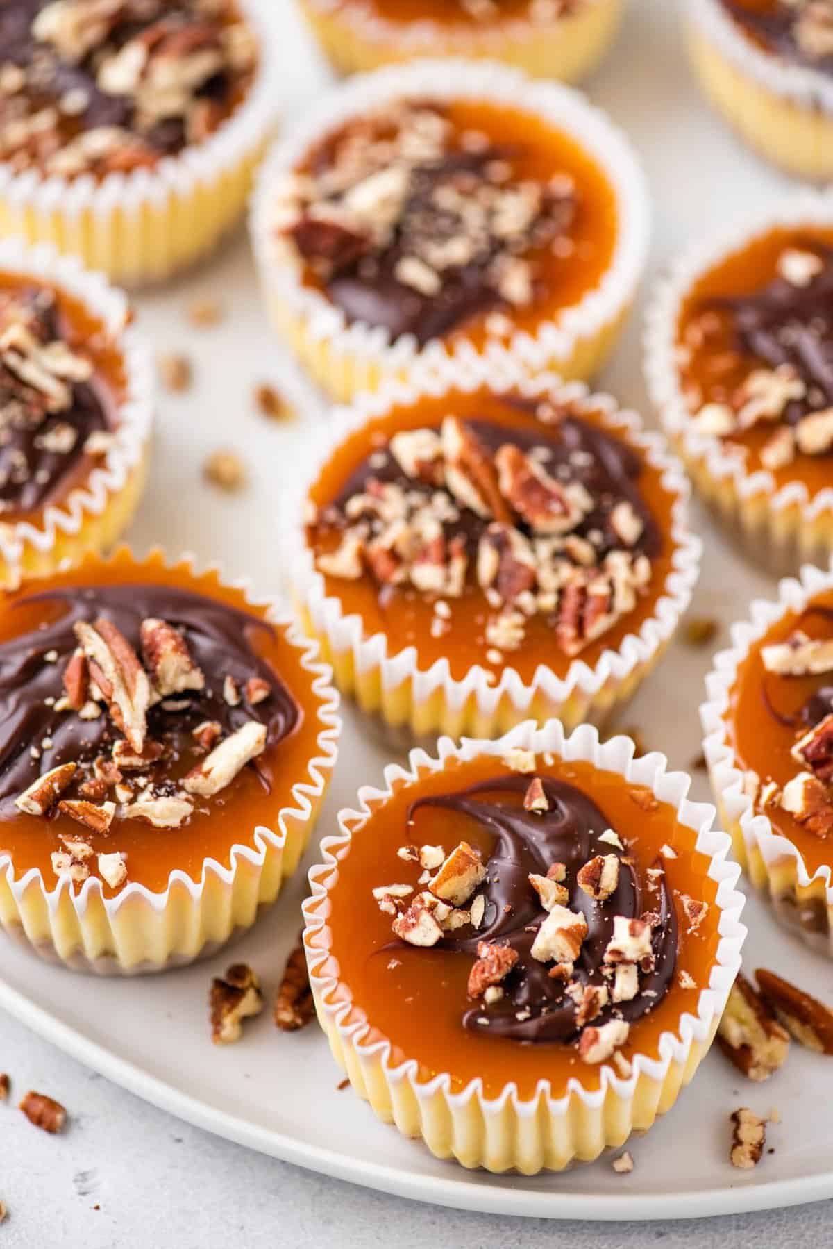 mini turtle cheesecakes topped with caramel, chocolate and chopped pecans arranged on white tray