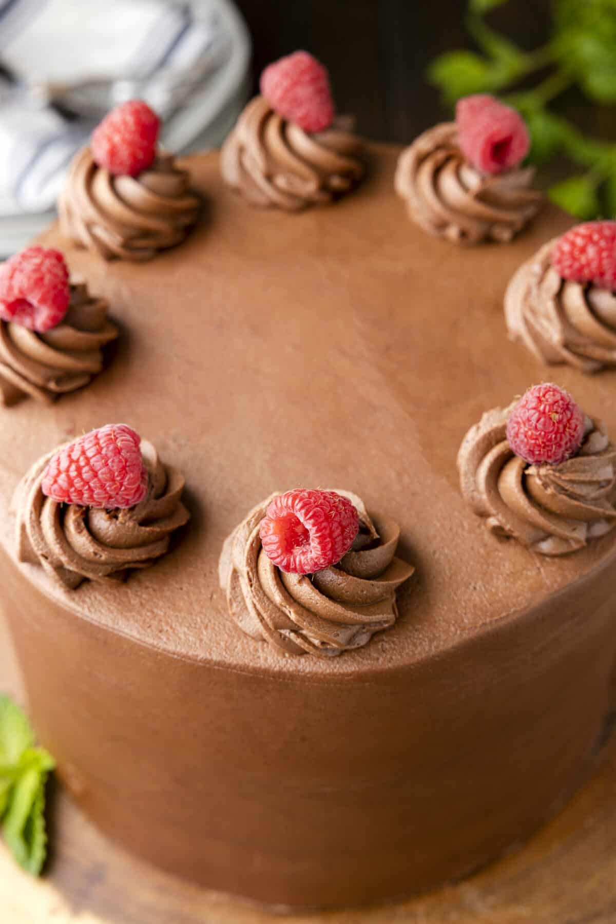 View of top of chocolate raspberry cake with buttercream swirls topped with raspberries