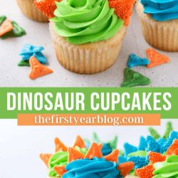 Homemade Dinosaur Cupcakes