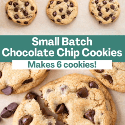 Small Batch Chocolate Chip Cookies