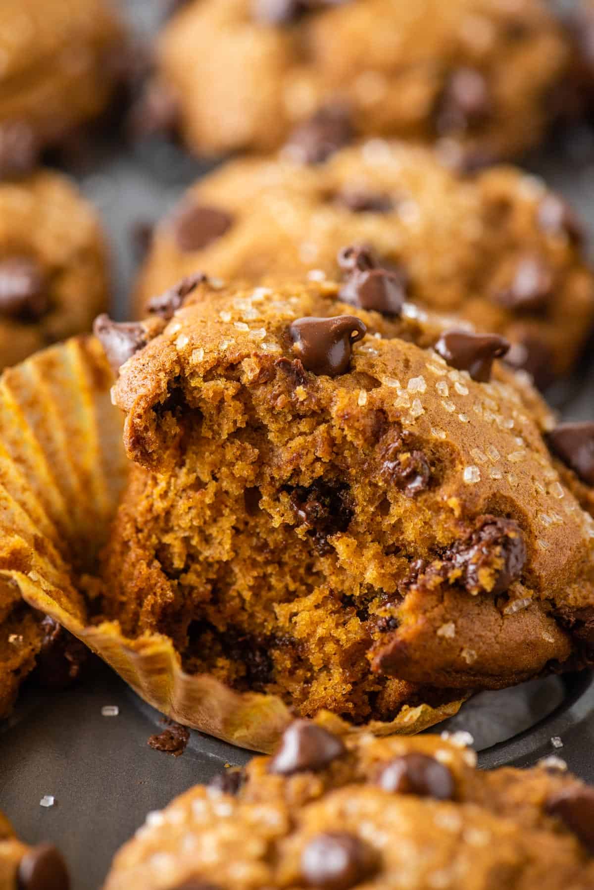 pumpkin chocolate chip muffin with bite taken out of it in metal muffin pan