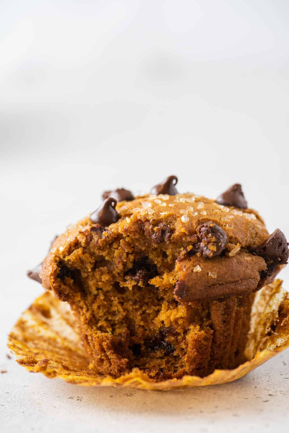 A pumpkin chocolate chip muffin, unwrapped, with one bite missing.